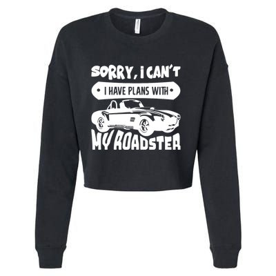Funny Car Cropped Pullover Crew