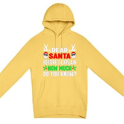 Funny Christmas Family Adults Dear Santa I Can Explain Gift Premium Pullover Hoodie