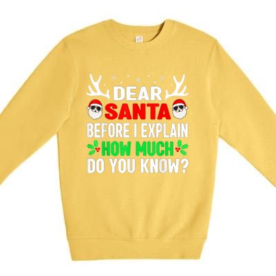 Funny Christmas Family Adults Dear Santa I Can Explain Gift Premium Crewneck Sweatshirt