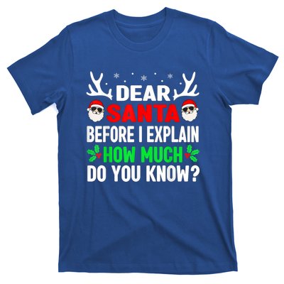 Funny Christmas Family Adults Dear Santa I Can Explain Gift T-Shirt