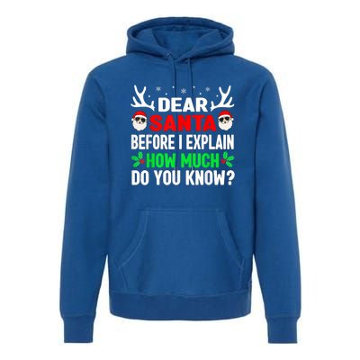 Funny Christmas Family Adults Dear Santa I Can Explain Gift Premium Hoodie