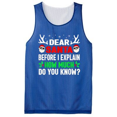 Funny Christmas Family Adults Dear Santa I Can Explain Gift Mesh Reversible Basketball Jersey Tank