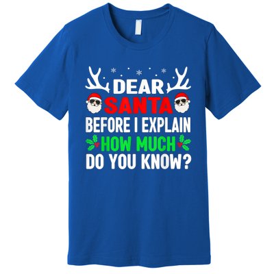 Funny Christmas Family Adults Dear Santa I Can Explain Gift Premium T-Shirt