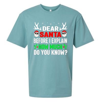 Funny Christmas Family Adults Dear Santa I Can Explain Gift Sueded Cloud Jersey T-Shirt