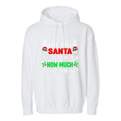 Funny Christmas Family Adults Dear Santa I Can Explain Gift Garment-Dyed Fleece Hoodie