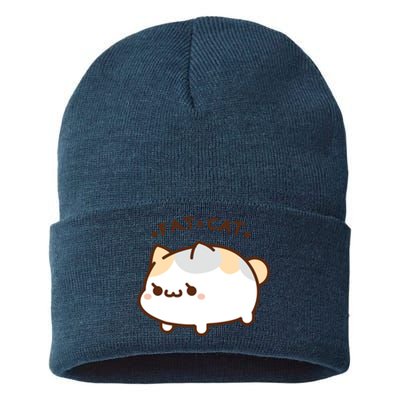 Fat Cat Sustainable Knit Beanie