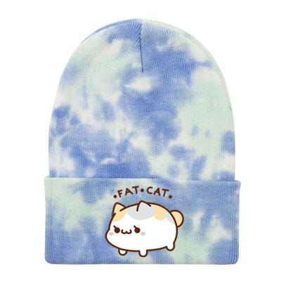 Fat Cat Tie Dye 12in Knit Beanie