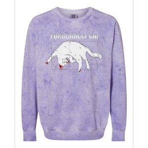 Furbonacci Cat Funny Cat Math Puns Colorblast Crewneck Sweatshirt