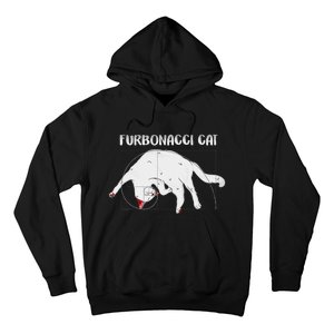 Furbonacci Cat Funny Cat Math Puns Hoodie