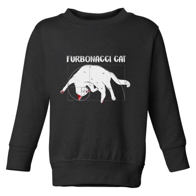 Furbonacci Cat Funny Cat Math Puns Toddler Sweatshirt