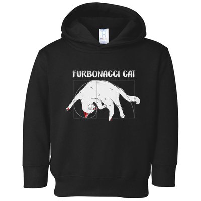 Furbonacci Cat Funny Cat Math Puns Toddler Hoodie