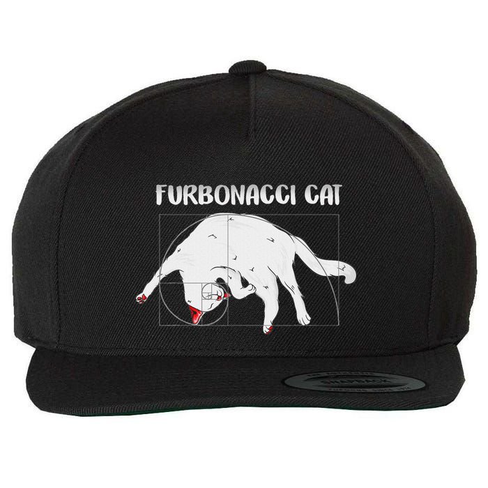 Furbonacci Cat Funny Cat Math Puns Wool Snapback Cap