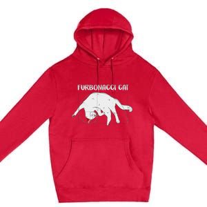 Furbonacci Cat Funny Cat Math Puns Premium Pullover Hoodie