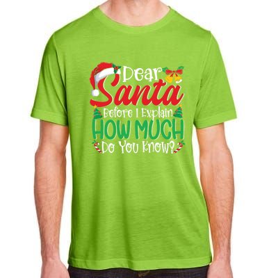 Funny Christmas Funny Gift Adults Dear Santa I Can Explain Funny Gift Adult ChromaSoft Performance T-Shirt