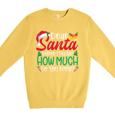 Funny Christmas Funny Gift Adults Dear Santa I Can Explain Funny Gift Premium Crewneck Sweatshirt