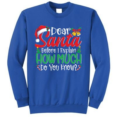 Funny Christmas Funny Gift Adults Dear Santa I Can Explain Funny Gift Sweatshirt