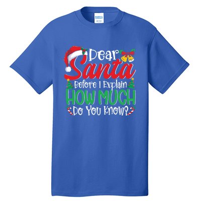 Funny Christmas Funny Gift Adults Dear Santa I Can Explain Funny Gift Tall T-Shirt