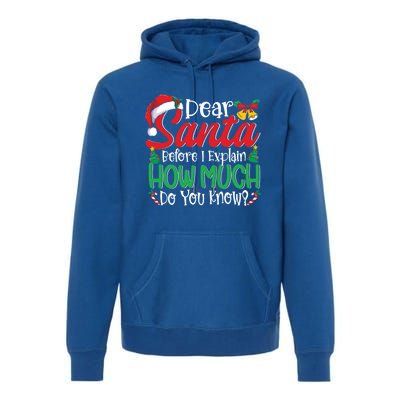 Funny Christmas Funny Gift Adults Dear Santa I Can Explain Funny Gift Premium Hoodie