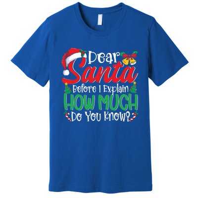 Funny Christmas Funny Gift Adults Dear Santa I Can Explain Funny Gift Premium T-Shirt