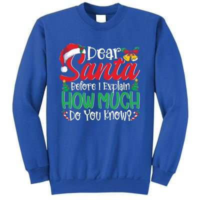 Funny Christmas Funny Gift Adults Dear Santa I Can Explain Funny Gift Tall Sweatshirt