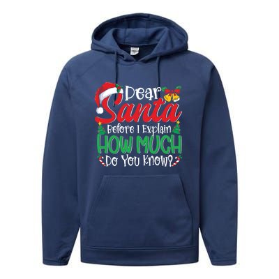 Funny Christmas Funny Gift Adults Dear Santa I Can Explain Funny Gift Performance Fleece Hoodie