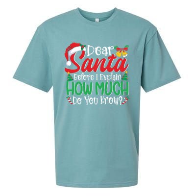 Funny Christmas Funny Gift Adults Dear Santa I Can Explain Funny Gift Sueded Cloud Jersey T-Shirt