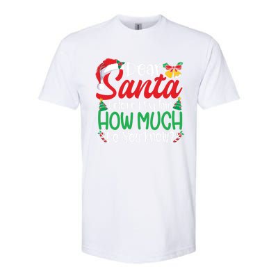 Funny Christmas Funny Gift Adults Dear Santa I Can Explain Funny Gift Softstyle CVC T-Shirt