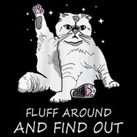 Funny Cat Fluff Around And Find Out Button