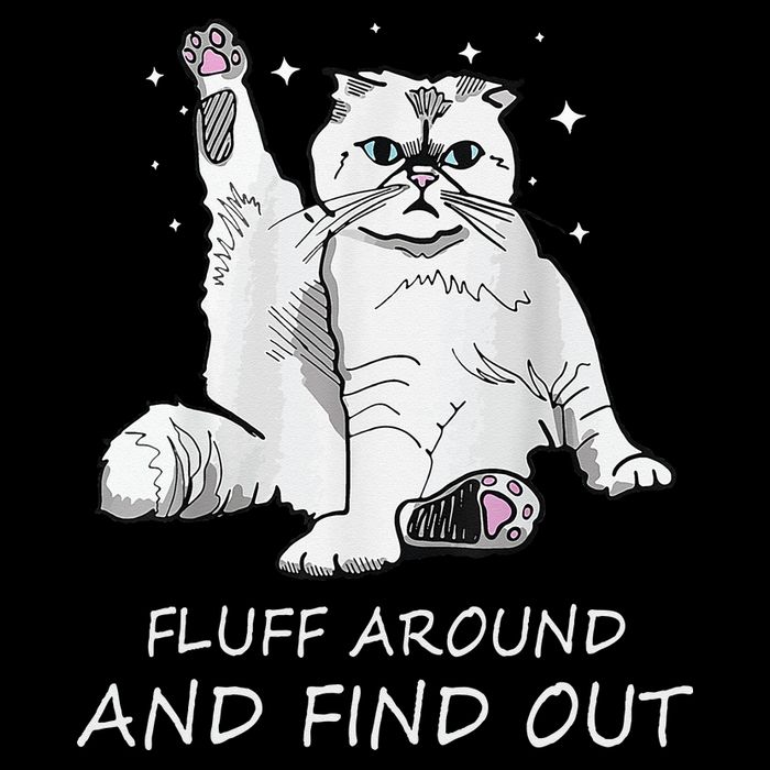 Funny Cat Fluff Around And Find Out Mousepad