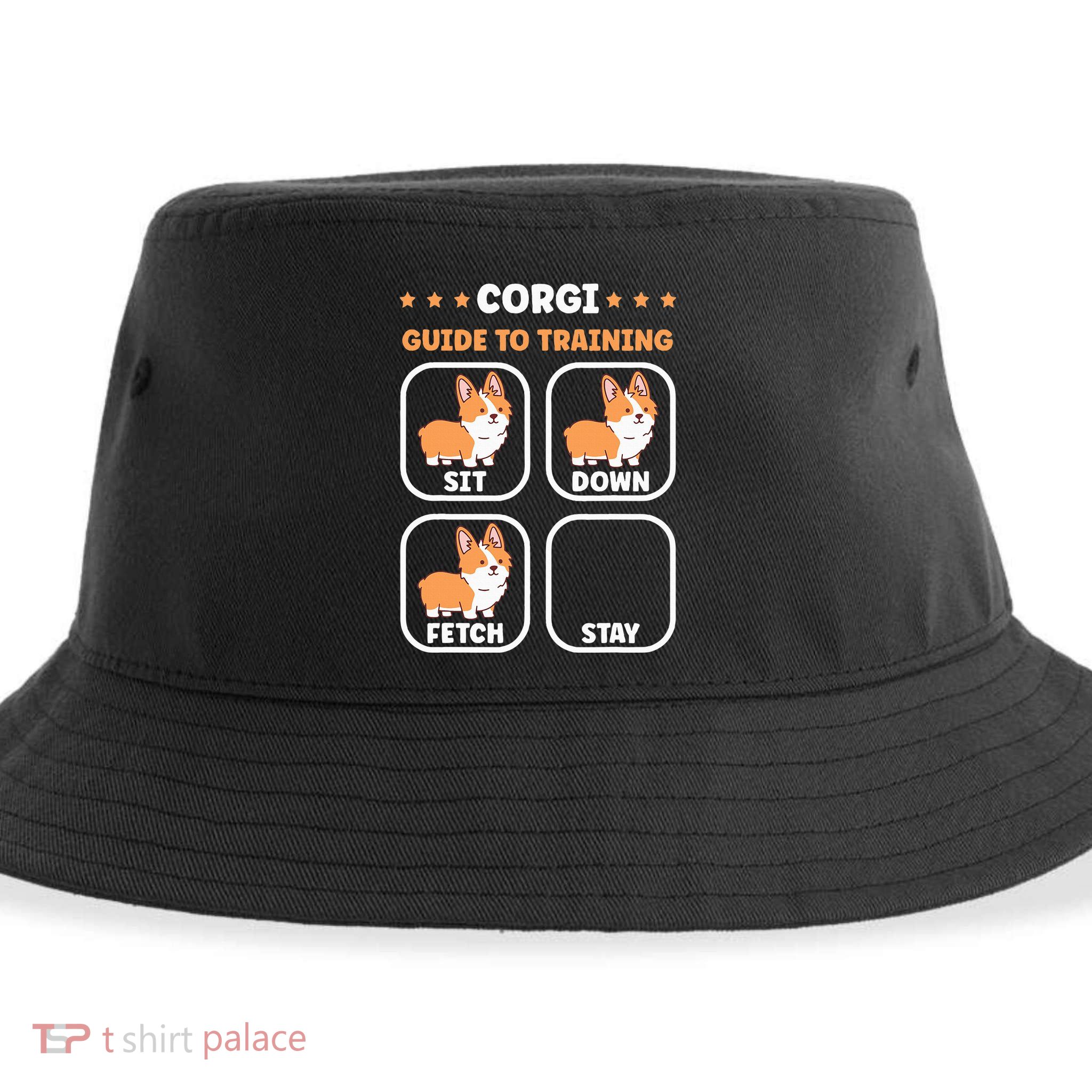 Funny Corgi guide to trainig dog owner corgi Sustainable Bucket Hat