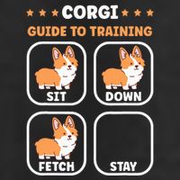 Funny Corgi guide to trainig dog owner corgi Tumbler