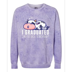 Funny Cow Graduation I Graduated Can I Go Back To Bed Now Colorblast Crewneck Sweatshirt