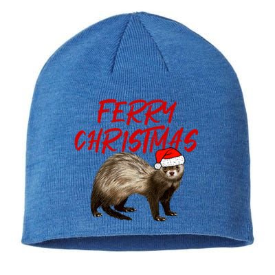 Ferry Christmas Great Gift Funny Ferregift For Christmas Gift Sustainable Beanie