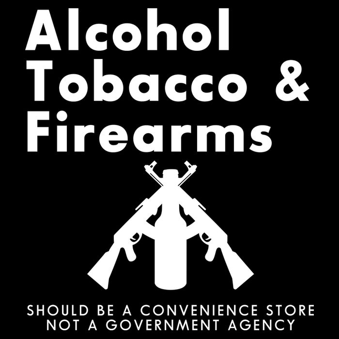 Funny Conservative Gun Rights Second Amendment Button