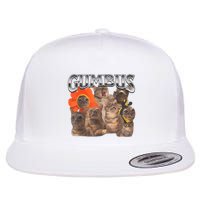 Funny Cat Gumbus Flat Bill Trucker Hat