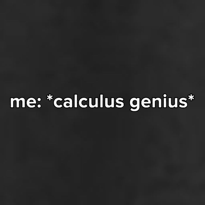 Funny Calculus Genius Meme Math Beanie