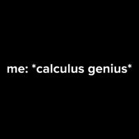 Funny Calculus Genius Meme Math 16 in Basic Backpack