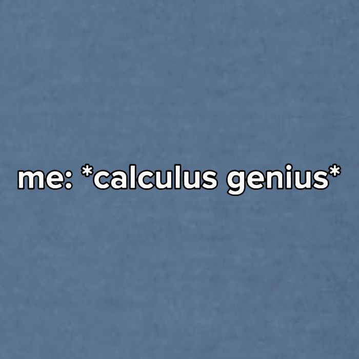 Funny Calculus Genius Meme Math Garment-Dyed Sweatshirt