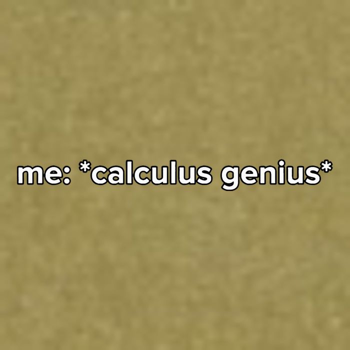 Funny Calculus Genius Meme Math Garment-Dyed Women's Muscle Tee