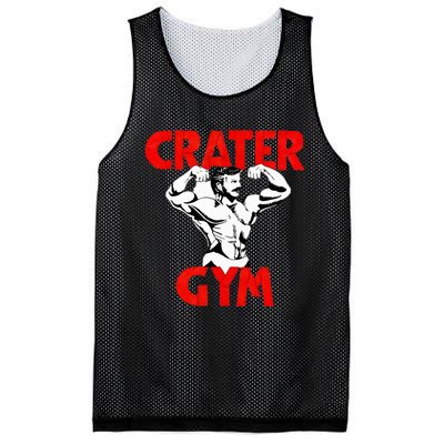 Funny Crater Gym Mesh Reversible Basketball Jersey Tank