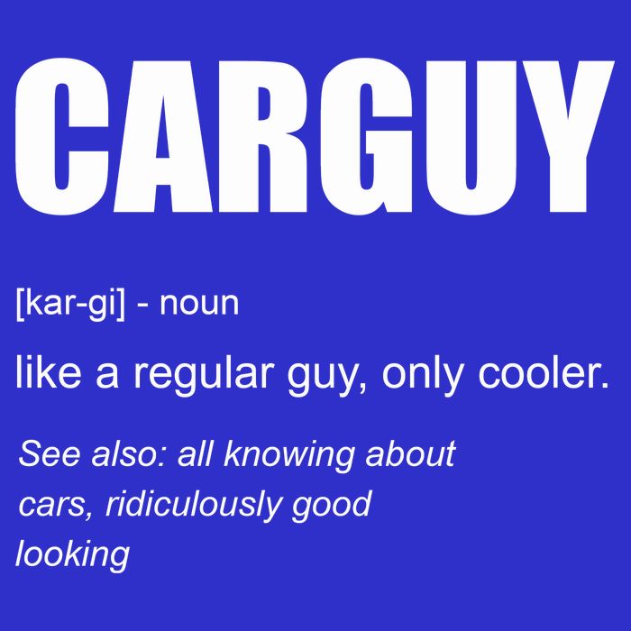Funny Car Guy Definition Apron