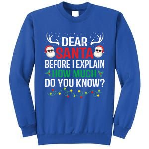 Funny Christmas Gift Adults Dear Santa I Can Explain Gift Sweatshirt