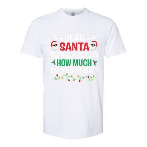 Funny Christmas Gift Adults Dear Santa I Can Explain Gift Softstyle CVC T-Shirt