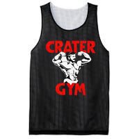 Funny Crater Gym Mesh Reversible Basketball Jersey Tank