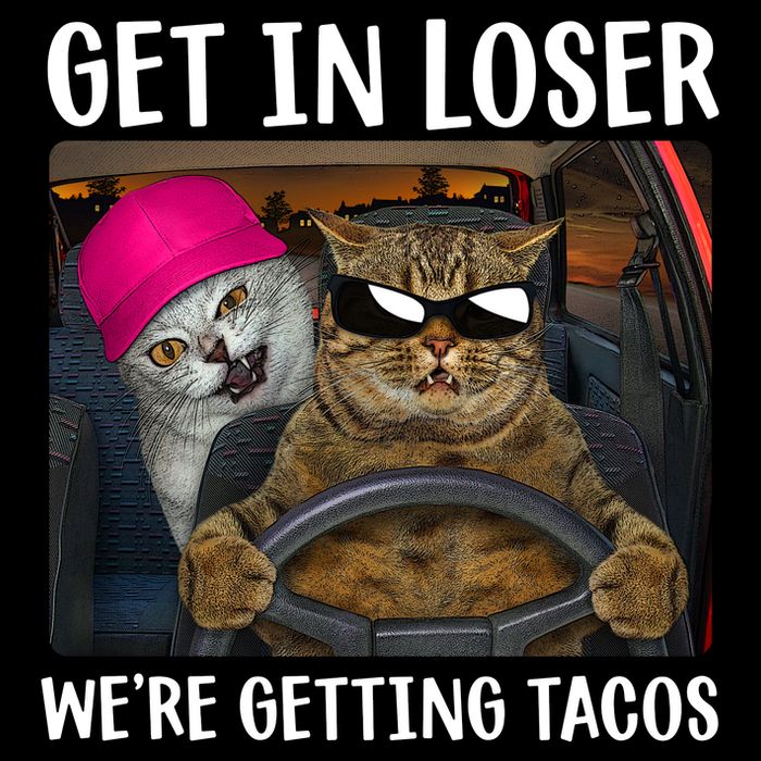 Funny Cats Get In Loser We're Getting Tacos Sweatshirt