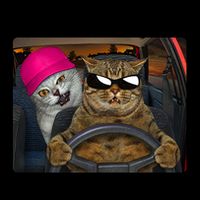 Funny Cats Get In Loser We're Getting Tacos Mug