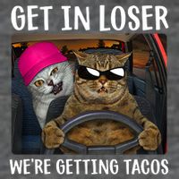 Funny Cats Get In Loser We're Getting Tacos 7 Panel Mesh Trucker Snapback Hat