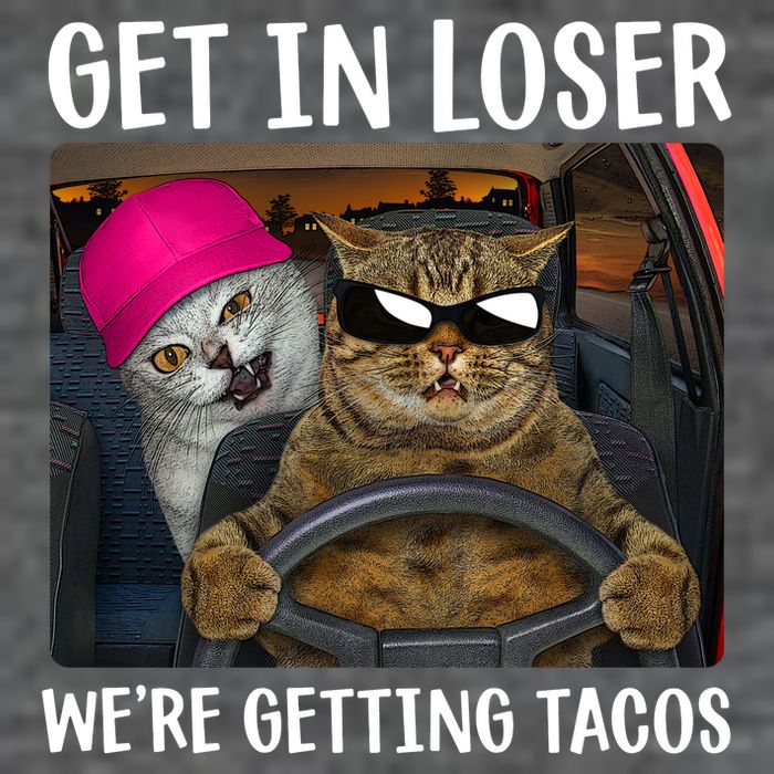 Funny Cats Get In Loser We're Getting Tacos Flatbill Hat