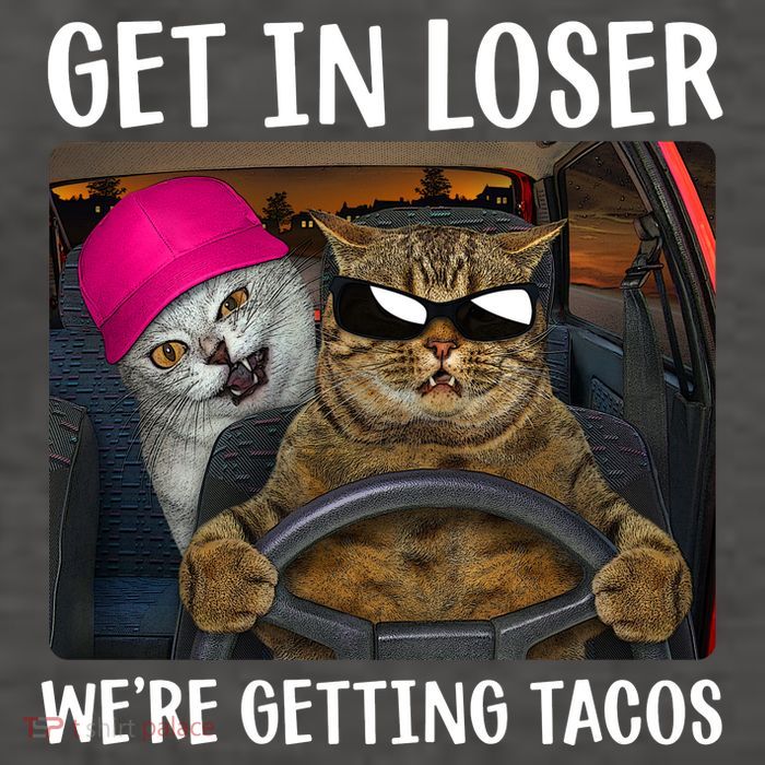 Funny Cats Get In Loser We're Getting Tacos Vector Backpack