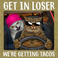 Funny Cats Get In Loser We're Getting Tacos Garment-Dyed Women's Muscle Tee